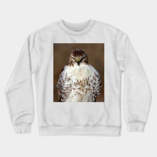 Red-tailed Hawk Crewneck Sweatshirt